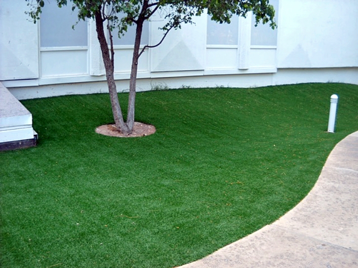 Synthetic Turf Waterford, California Backyard Playground, Commercial Landscape