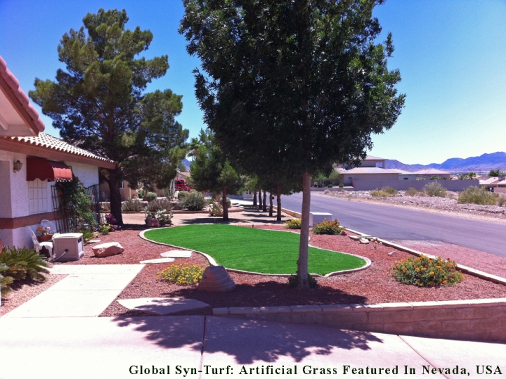 Synthetic Turf West Modesto, California Landscape Ideas, Front Yard Landscape Ideas