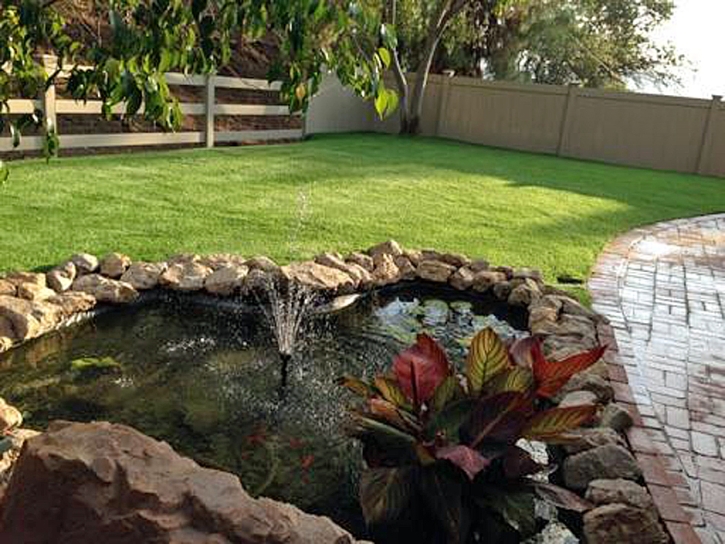 Turf Grass Crows Landing, California Landscape Design, Backyard Landscaping