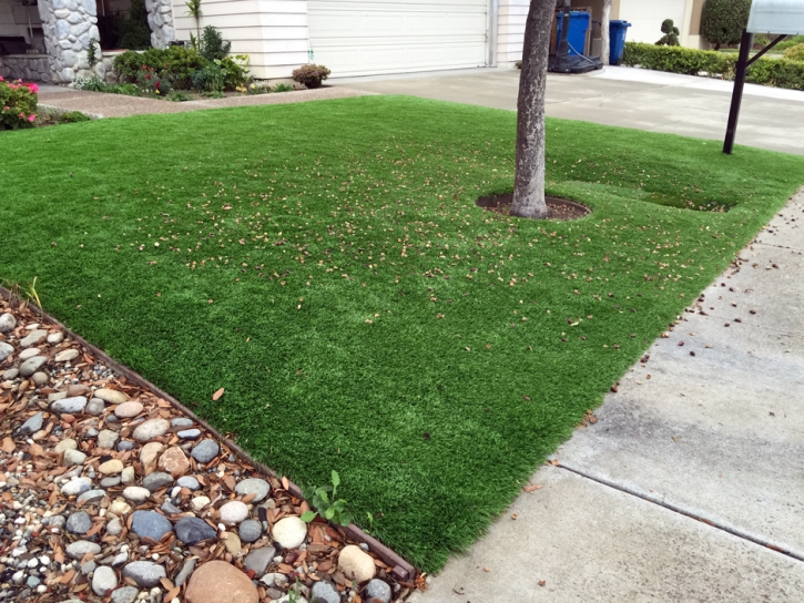 Turf Grass Hickman, California Landscape Rock, Front Yard Design