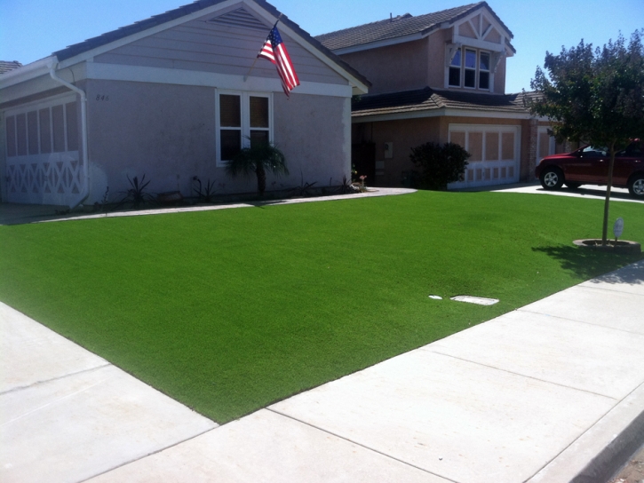 Turf Grass Oakdale, California Backyard Playground, Front Yard Landscape Ideas