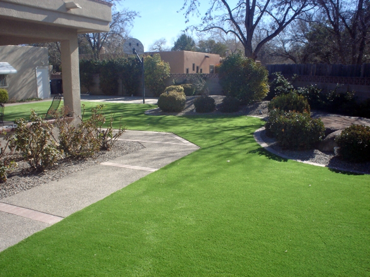 Turf Grass Riverdale Park, California Landscape Design, Front Yard