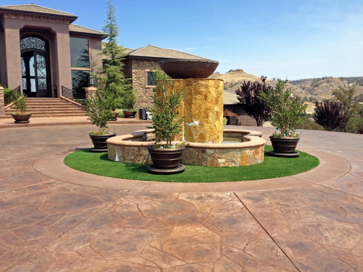 Turf Grass Turlock, California Landscaping, Front Yard Landscaping Ideas