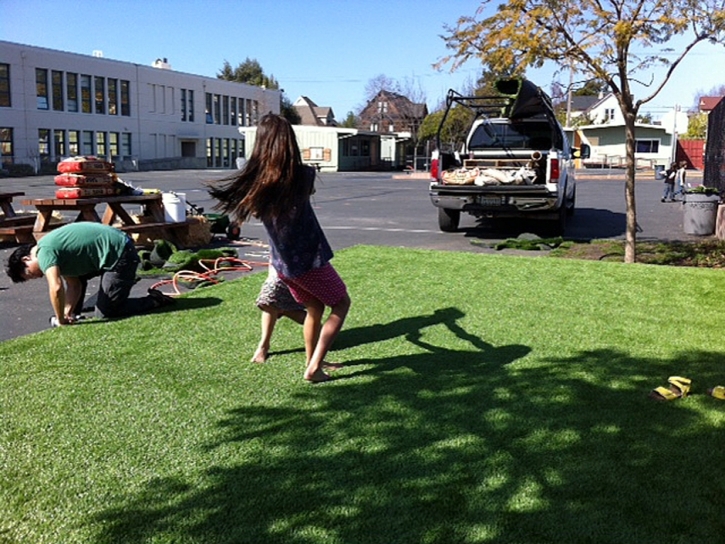 Turf Grass Westley, California Paver Patio, Commercial Landscape